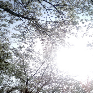 玩男中初学生J8
